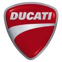 Ducati SpeedoHealers and Gear Indicators