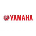 Yamaha SpeedoHealers and Gear Indicators