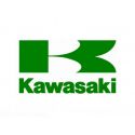 Kawasaki SpeedoHealers and Gear Indicators