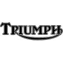 Triumph SpeedoHealers and Gear Indicators